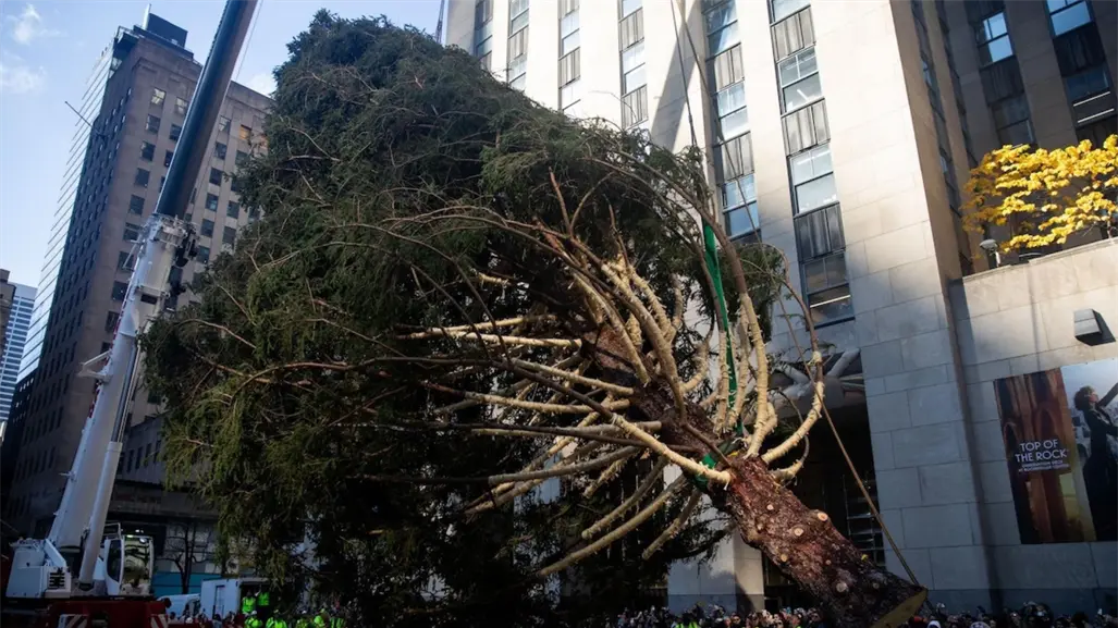 Instalan árbol de Navidad en el Centro Rockefeller de Nueva York
