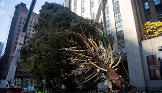Instalan árbol de Navidad en el Centro Rockefeller de Nueva York