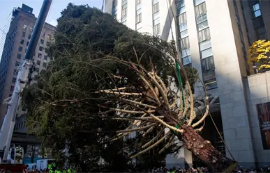 Instalan árbol de Navidad en el Centro Rockefeller de Nueva York