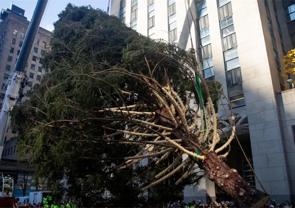 Instalan &aacute;rbol de Navidad en el Centro Rockefeller de Nueva York