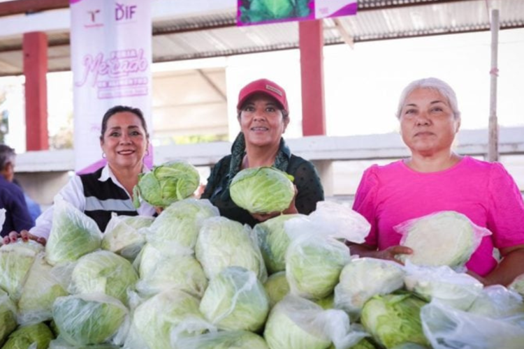 imagen-cuerpo imagen-cuerpo