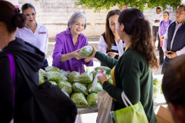 imagen-cuerpo imagen-cuerpo