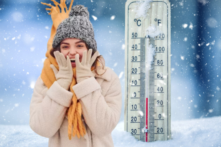 imagen-cuerpo imagen-cuerpo