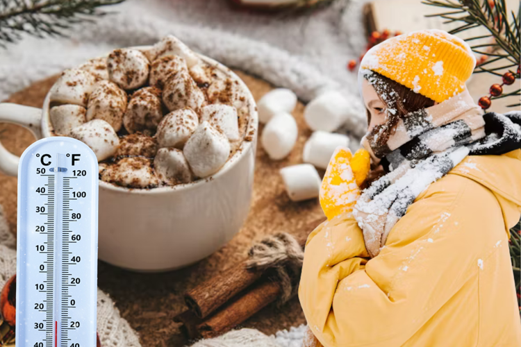 imagen-cuerpo imagen-cuerpo