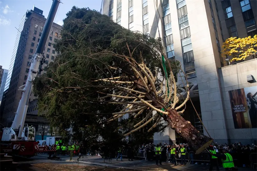 imagen recuadro Foto: X (@Cooperativa)