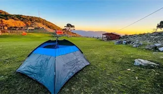 Es Pino Solo en Ciudad Victoria, un tesoro natural de Tamaulipas