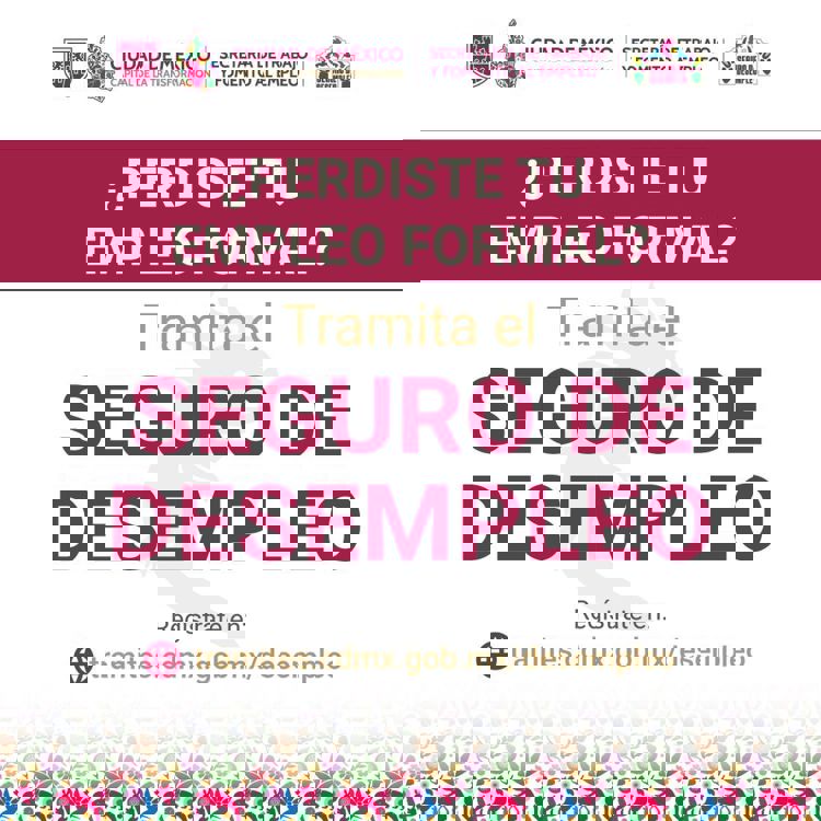 imagen-cuerpo imagen-cuerpo