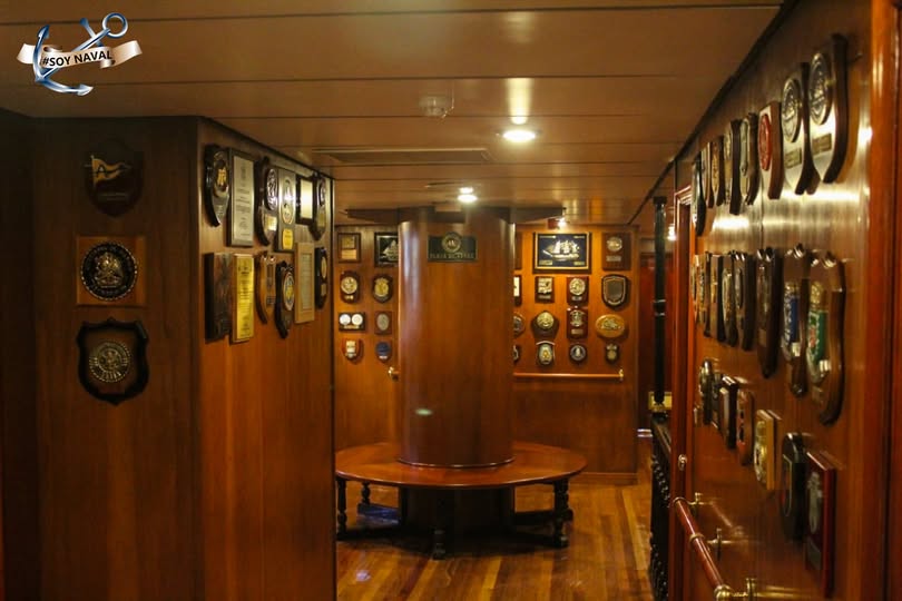 imagen-cuerpo imagen-cuerpo