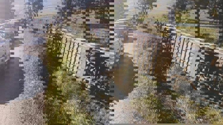 imagen-cuerpo imagen-cuerpo