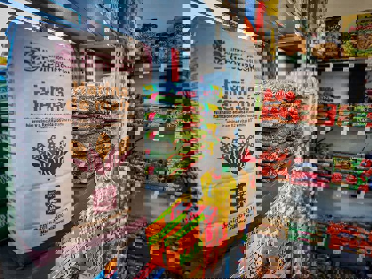 imagen-cuerpo imagen-cuerpo