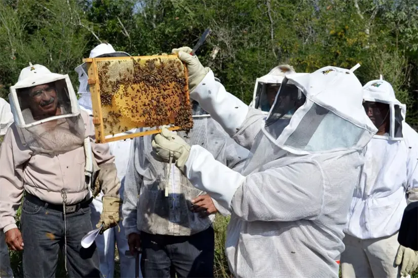 Se otorgaron 15 núcleos apícolas | Foto: SDRPA