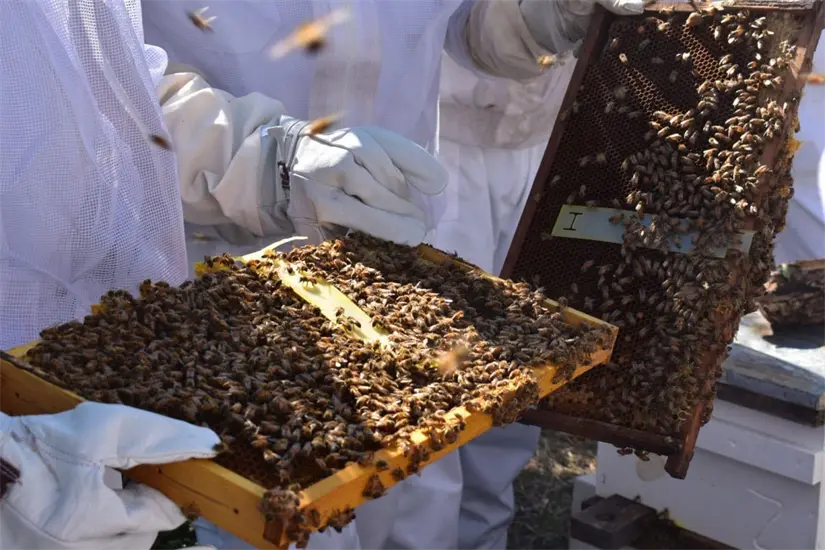 Jóvenes adquirieron conocimientos técnicos y científicos | Foto: SDRPA