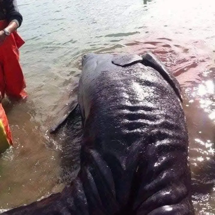 imagen recuadro Foto: Objetivo BCS