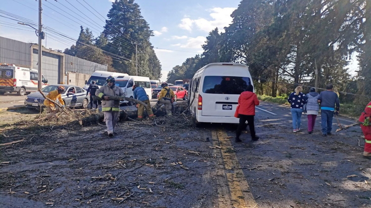 imagen-cuerpo imagen-cuerpo