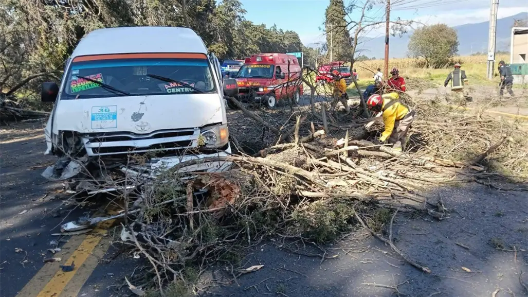 Cae árbol de 30 metros por fuertes vientos en Amecameca; ocho personas resultan lesionadas