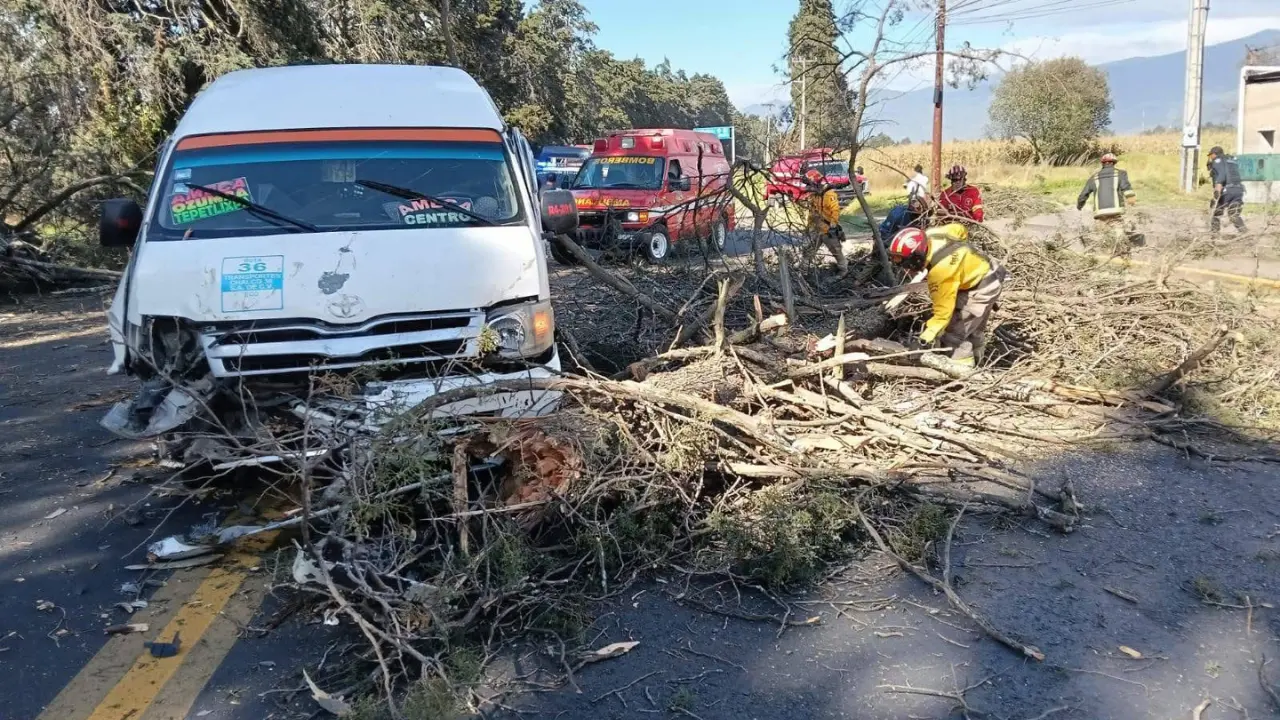 Caída de árbol en Edomex. | Foto: Especiales