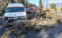 Cae árbol de 30 metros por fuertes vientos en Amecameca; ocho personas resultan lesionadas Cae árbol de 30 metros por fuertes vientos en Amecameca; ocho personas resultan lesionadas