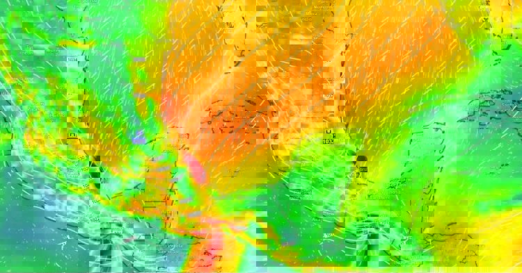 imagen-cuerpo imagen-cuerpo