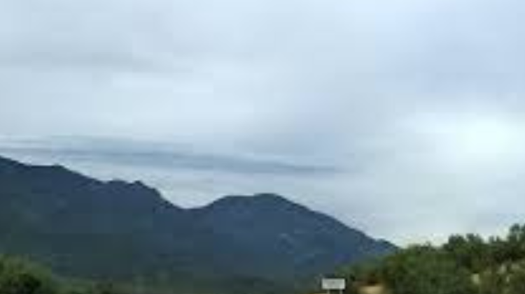 imagen-cuerpo imagen-cuerpo