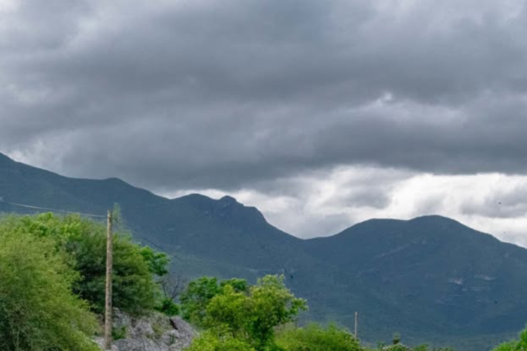 imagen-cuerpo imagen-cuerpo