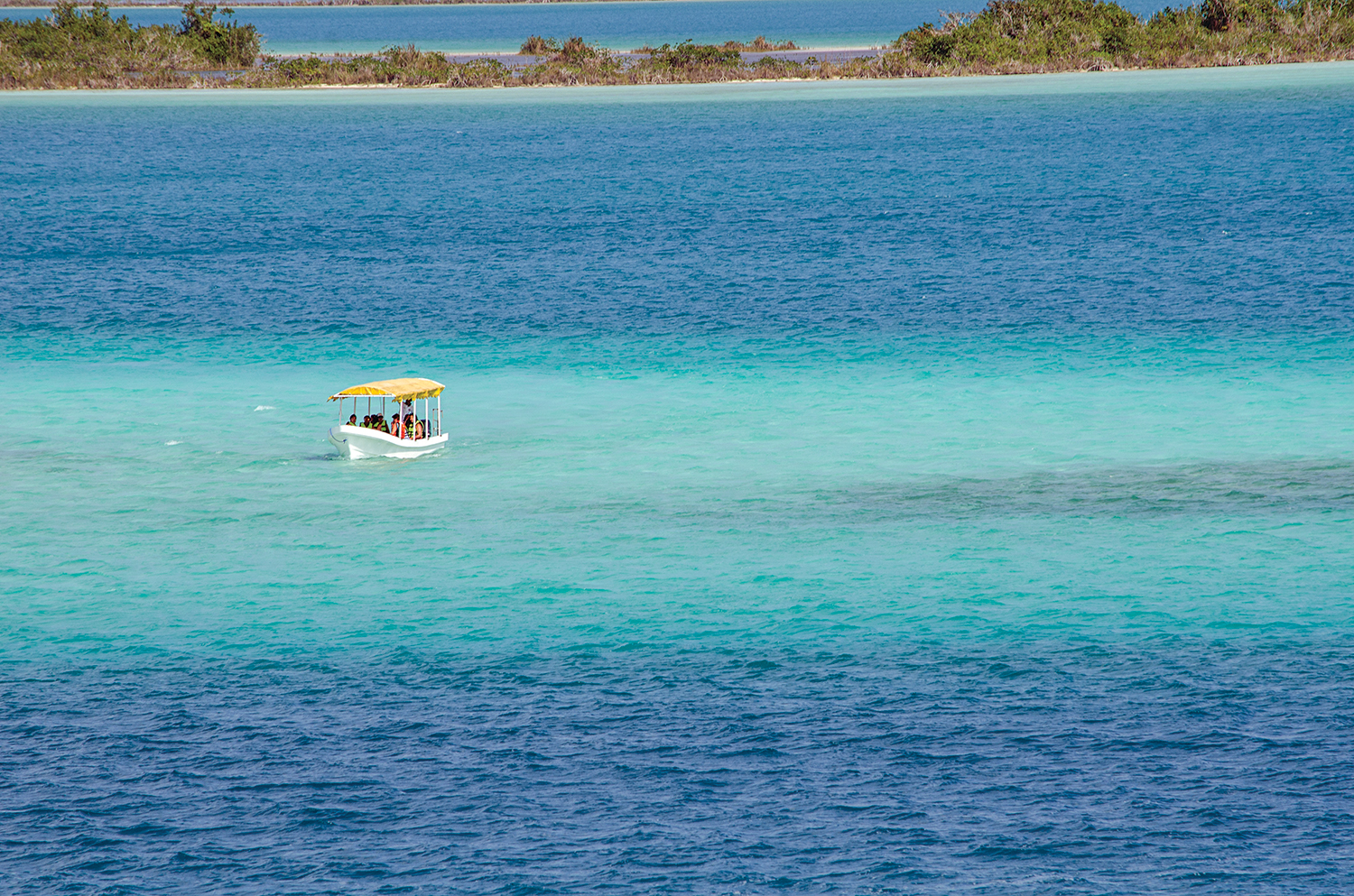 imagen-cuerpo imagen-cuerpo