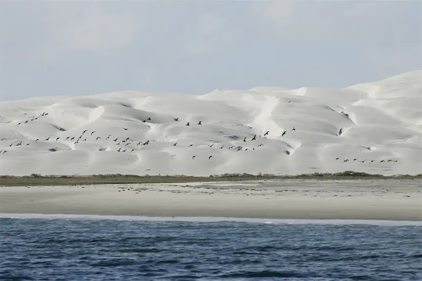 imagen recuadro Foto: Setues