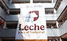 Leche para el Bienestar: estas son las fechas de registro en Gómez Palacio, Durango