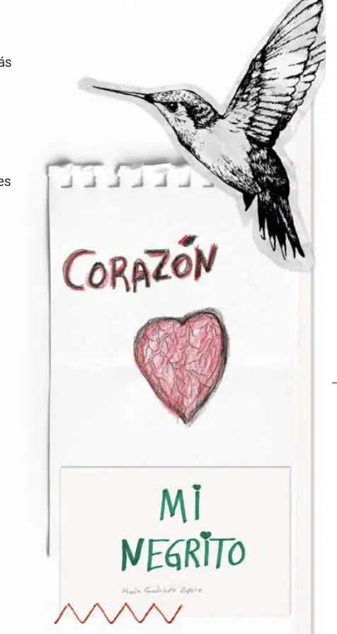 Libro de madres buscadoras. Foto: Captura de pantalla