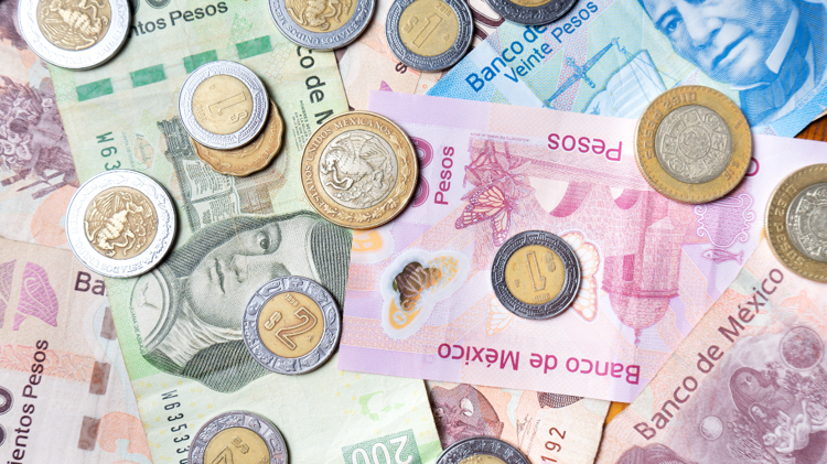 imagen-cuerpo imagen-cuerpo