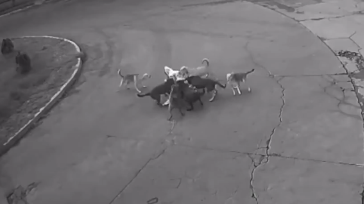 imagen-cuerpo imagen-cuerpo