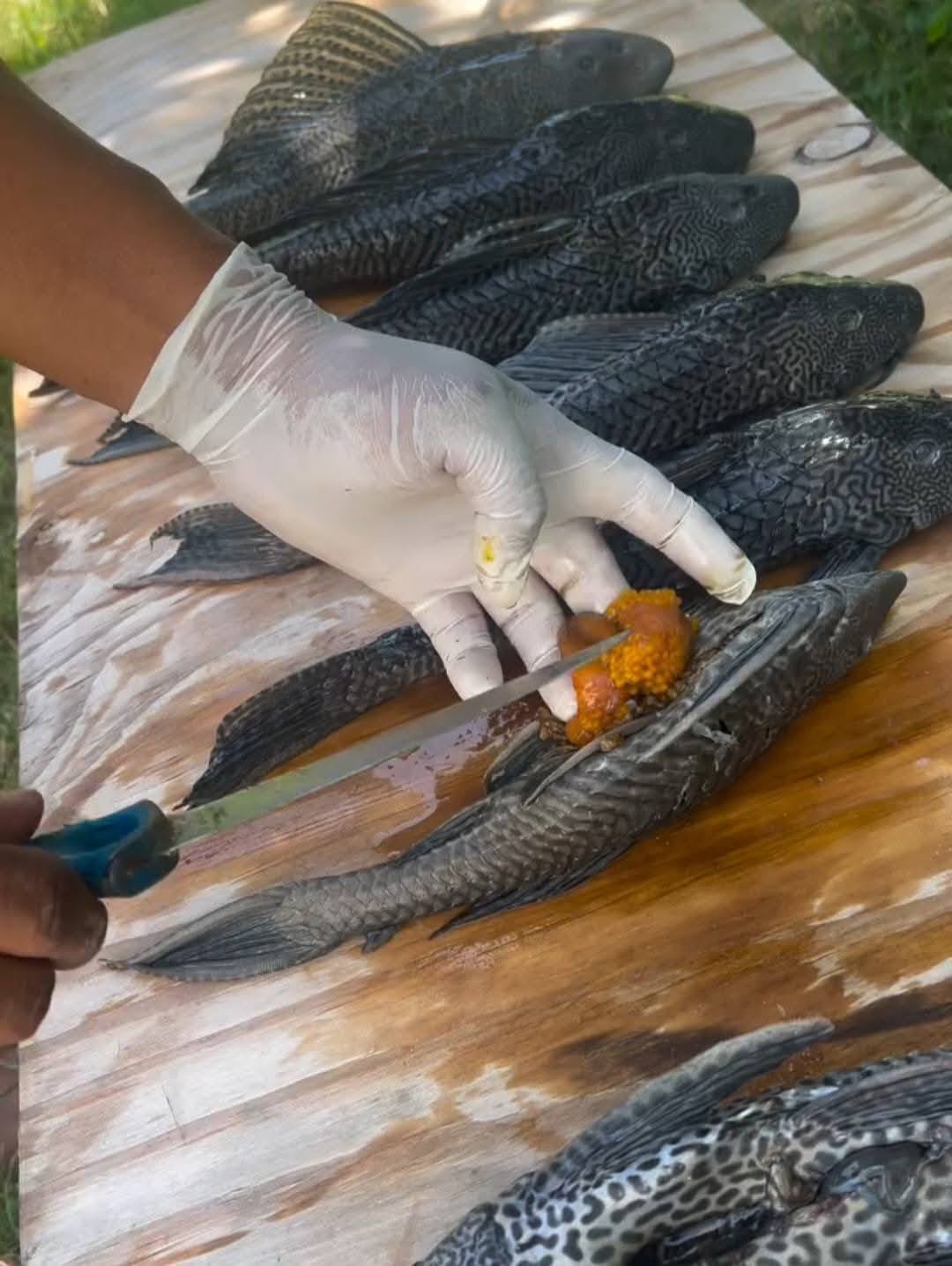 imagen-cuerpo imagen-cuerpo