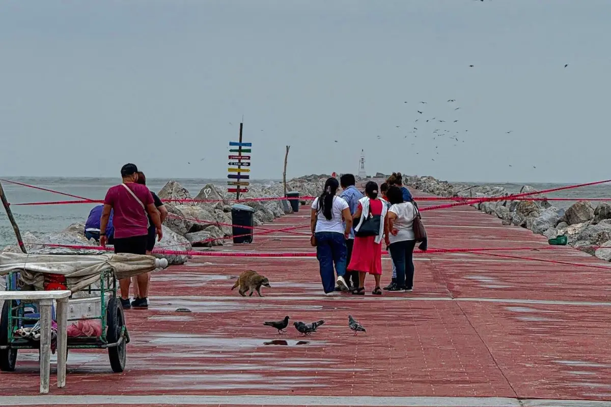 La playa y las escolleras de Miramar en Ciudad Madero permanecen cerradas por los efectos adversos del frente frío No. 13. Foto: Axel Hassel
