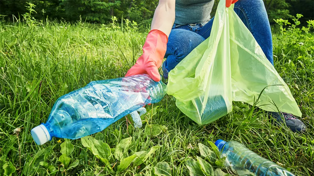 ¿Te pueden multar por no separar la basura en Edomex? Congreso local plantea multas de hasta 5 mil pesos