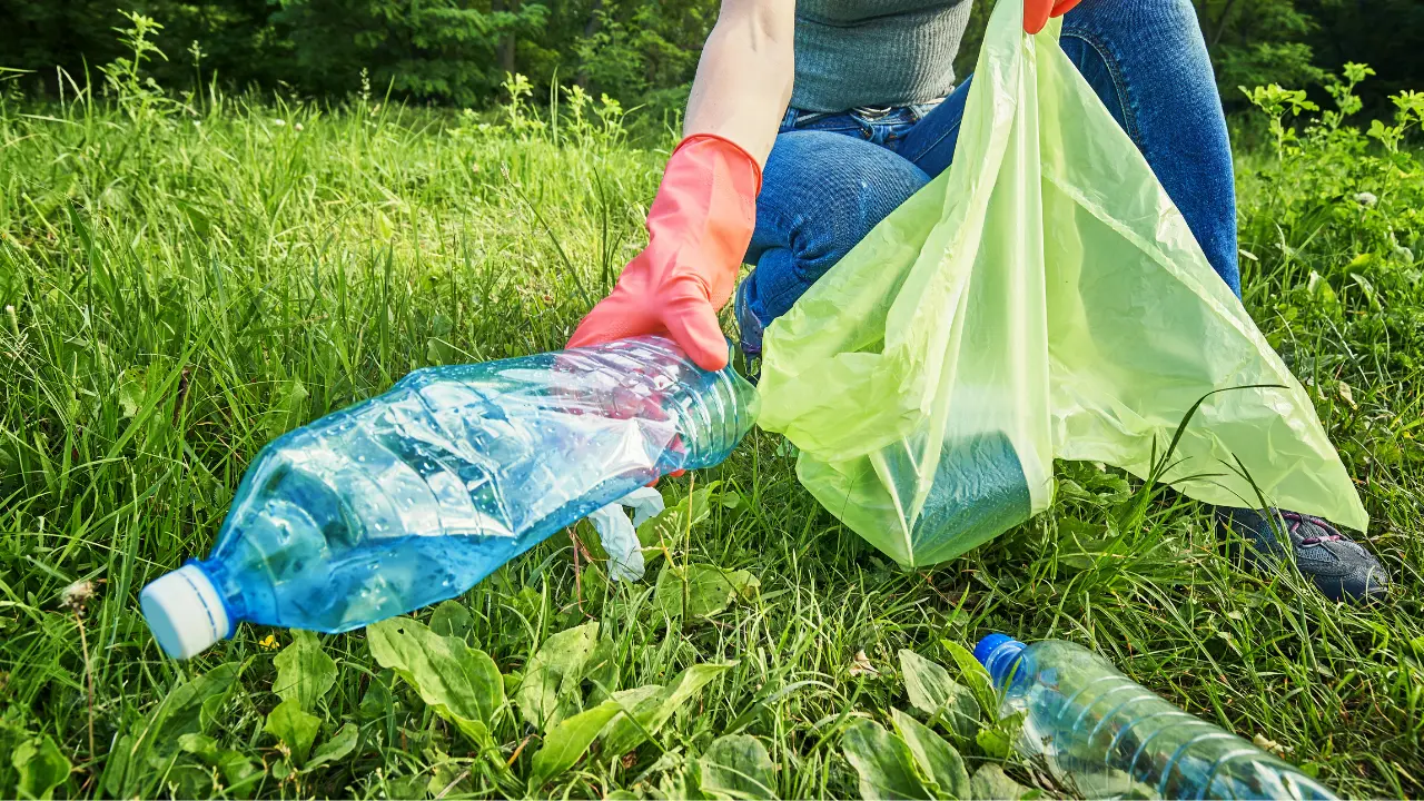 Diputados del Congreso mexiquense analizan sanciones para quienes no separen correctamente sus residuos. Foto: Canva