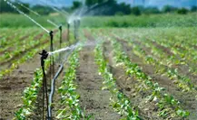 Coahuila busca asegurar acceso a agua para fines agrícolas, este es el plan