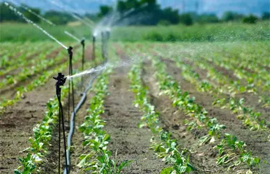 Coahuila busca asegurar acceso a agua para fines agrícolas, este es el plan