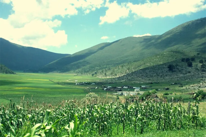 imagen recuadro Miquihuana, Tamaulipas | Foto: FB