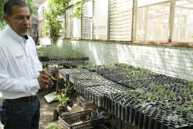 imagen recuadro Dr. Jacinto Treviño Carreón, investigador de la Facultad de Ingeniería y Ciencias | Foto: UAT