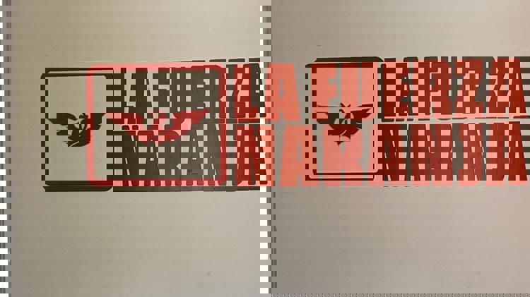 imagen-cuerpo imagen-cuerpo