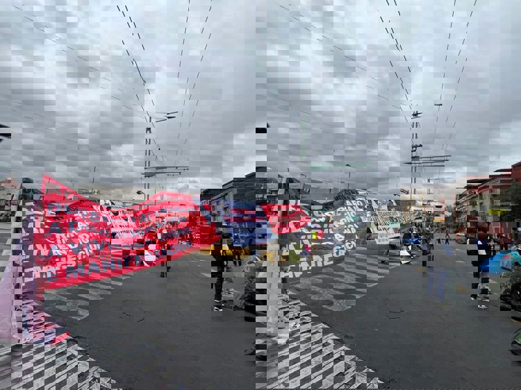 imagen-cuerpo imagen-cuerpo