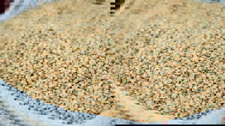 imagen-cuerpo imagen-cuerpo