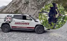 ¿Oso a la vista? La Huasteca en alerta ante temporada de engorda de fauna silvestre ¿Oso a la vista? La Huasteca en alerta ante temporada de engorda de fauna silvestre