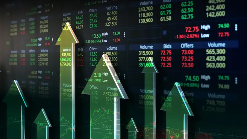 imagen recuadro FOTO: Canva