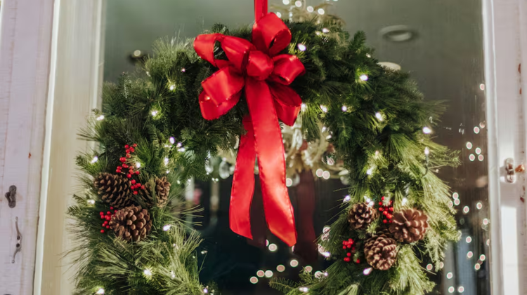 imagen-cuerpo imagen-cuerpo