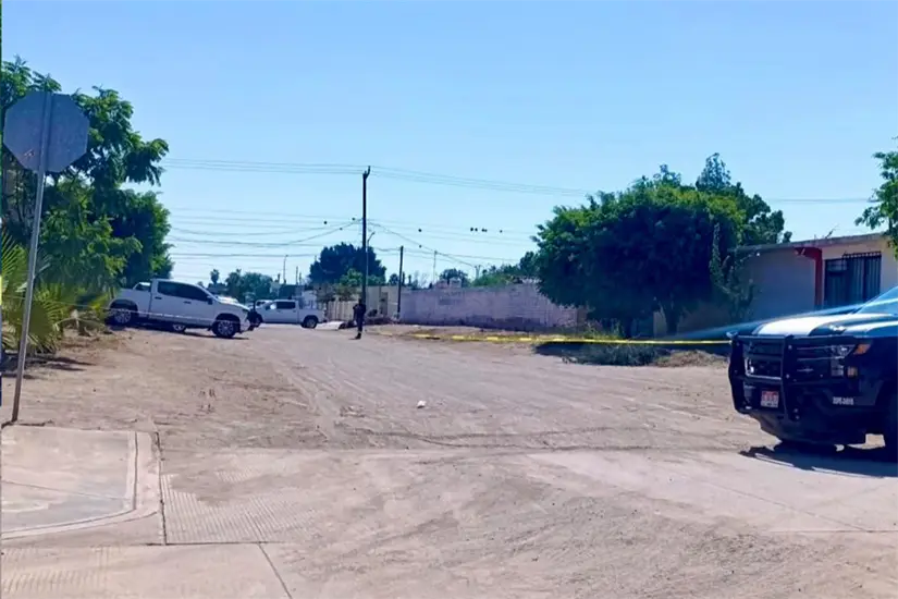 Foto: El Chamizo BCS.