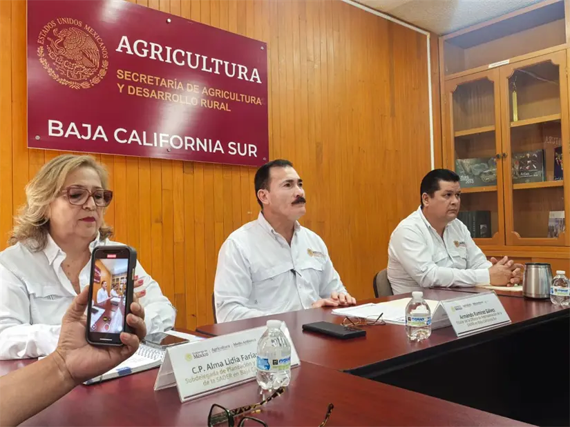 imagen recuadro Foto: Rocío Casas / POSTA Baja California Sur.