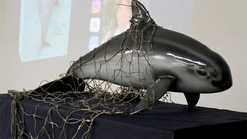 Foto: Armando Martínez Vega / Facebook