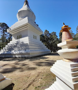 imagen-cuerpo imagen-cuerpo