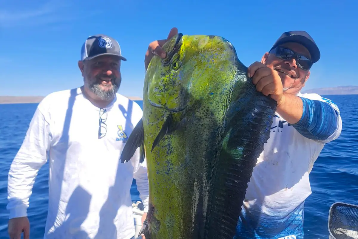 Fonmar y varias marcas e instancias involucradas invitan a participar en este torneo de pesca en Todos Santos. Foto: Torneo de Pesca El Grande.