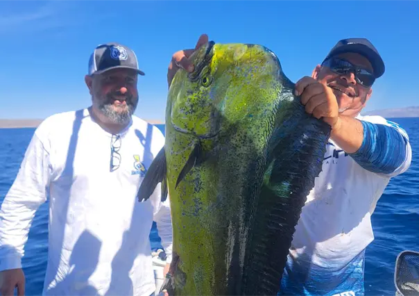 Guía paso a paso para inscribirte al Torneo de Pesca de Orilla Maja El Grande 2025